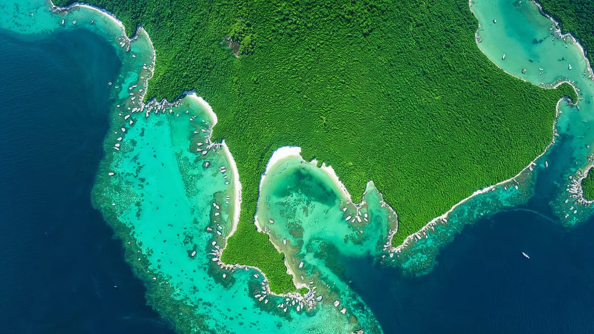 AI-generated illustration: satellite-style view of tropical coastline and forest